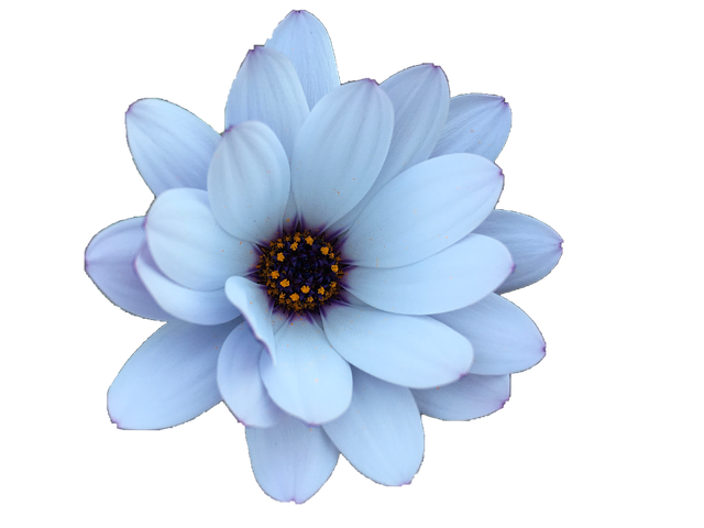 Ursem in beeld | Ursem